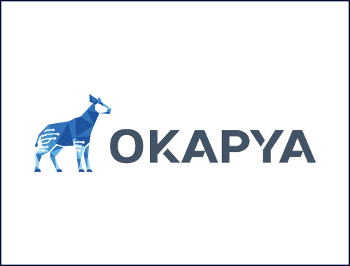 Maxime Lefebvre, Developer at Okapya